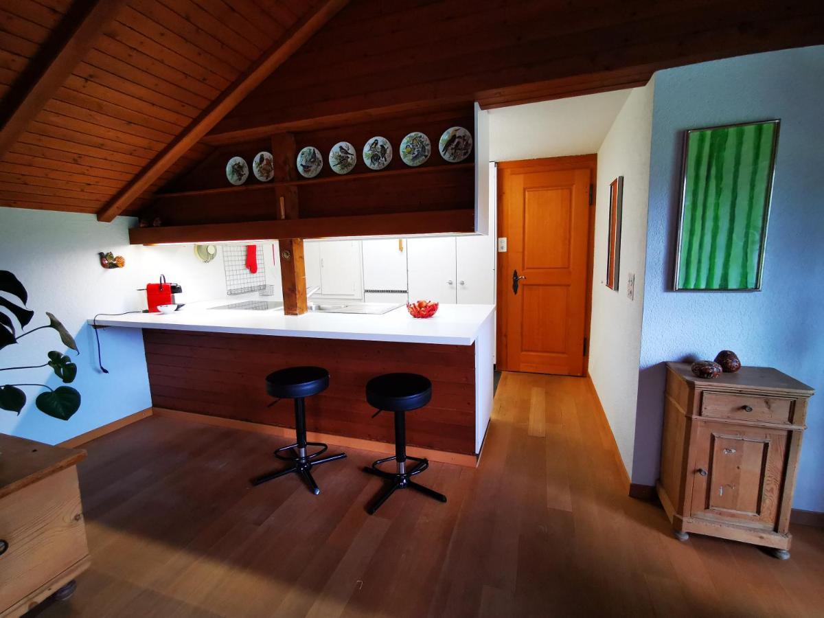 Apartament Marmottin Lucerna Zewnętrze zdjęcie